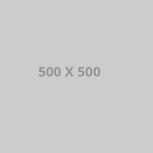 500x500-ph 500x500 alt